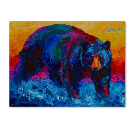 Trademark Fine Art Marion Rose 'Scouting Fish Black Bear' Canvas Art, 18x24 ALI7771-C1824GG